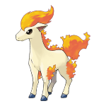 Ponyta